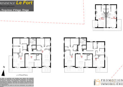 Knoll Promotion Immobilière